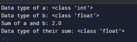 int to float python