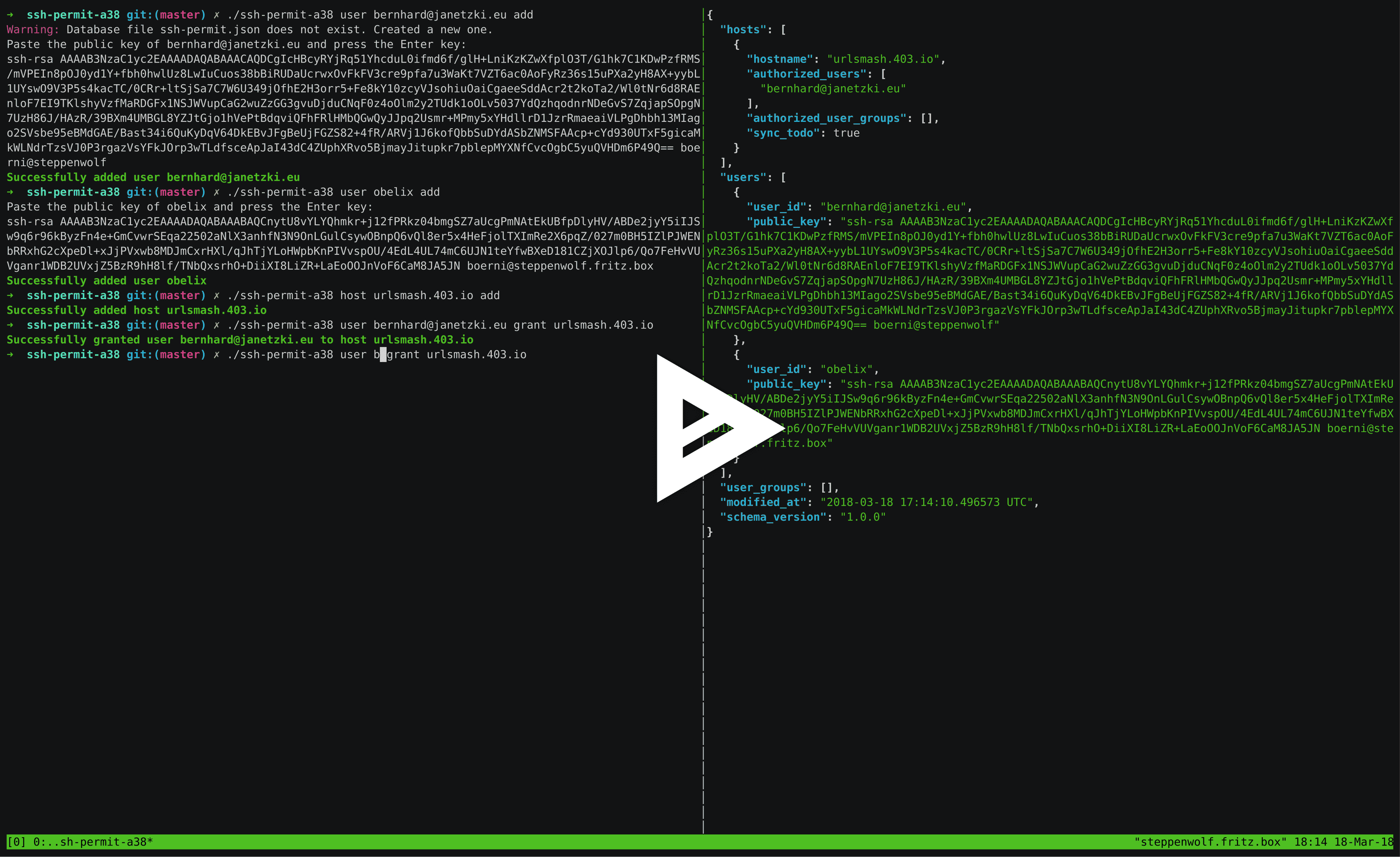 asciicast