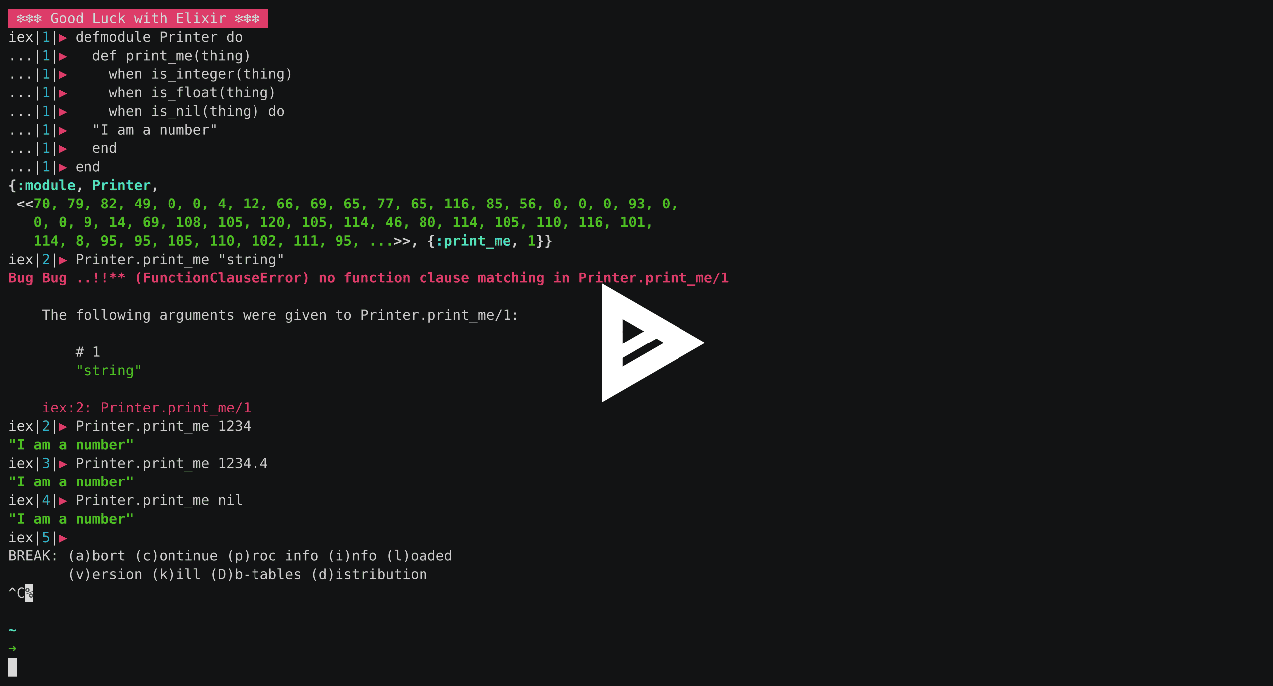 asciicast