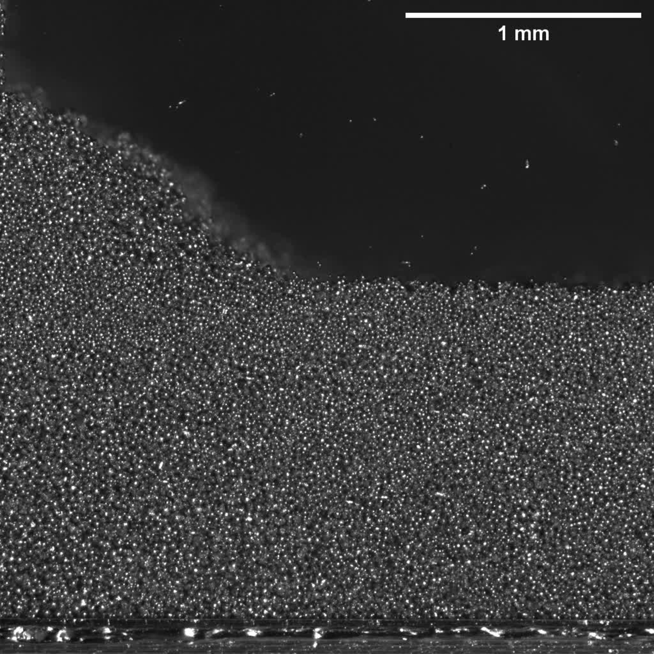 Spreading metal powder for additive manufacturing