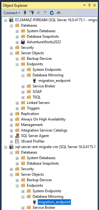 SMSS Endpoint View.