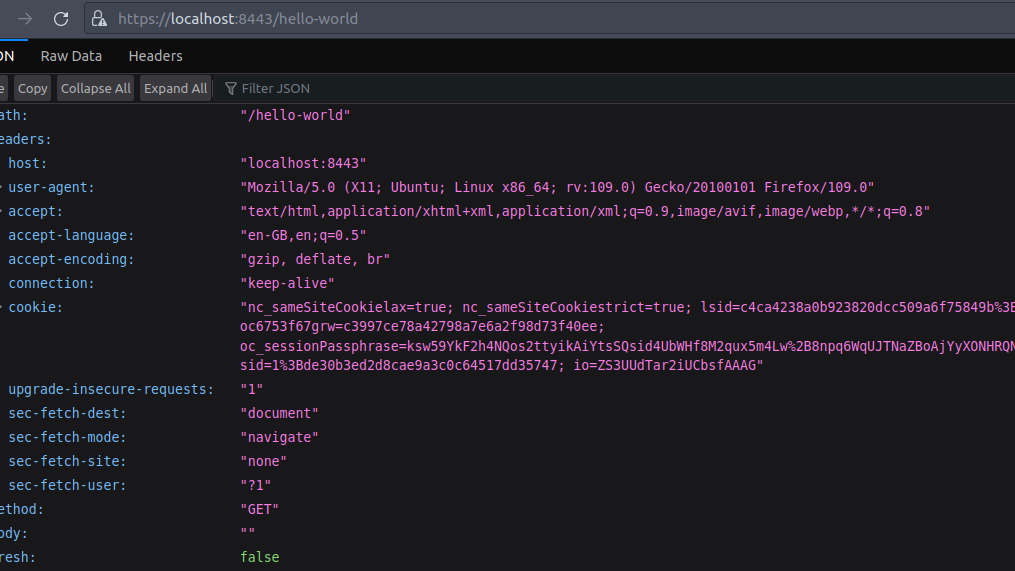 Docker image reflected back to browser with metadata