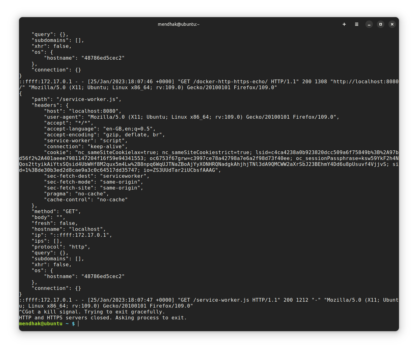 Container log output showing requests, responses and start and stop messages