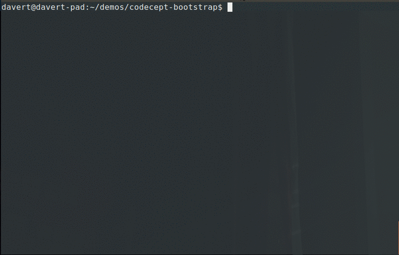 codeception run