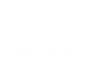 Design and Coding
