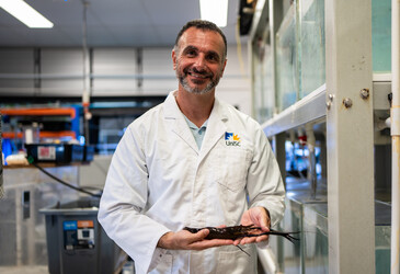 Hatching a market for a giant Aussie prawn