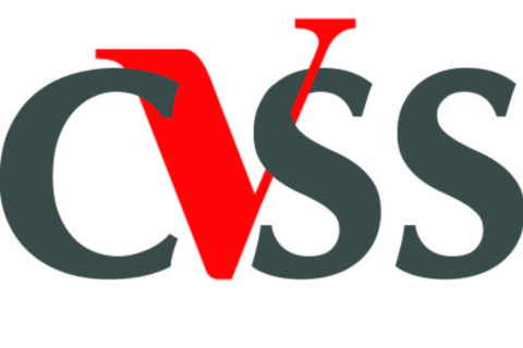 CVSS v3.1
