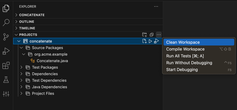Project Explorer
