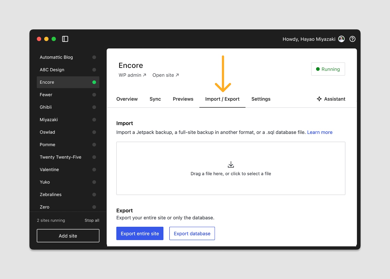 An orange arrow pointing out the import/export section in WordPress Studio
