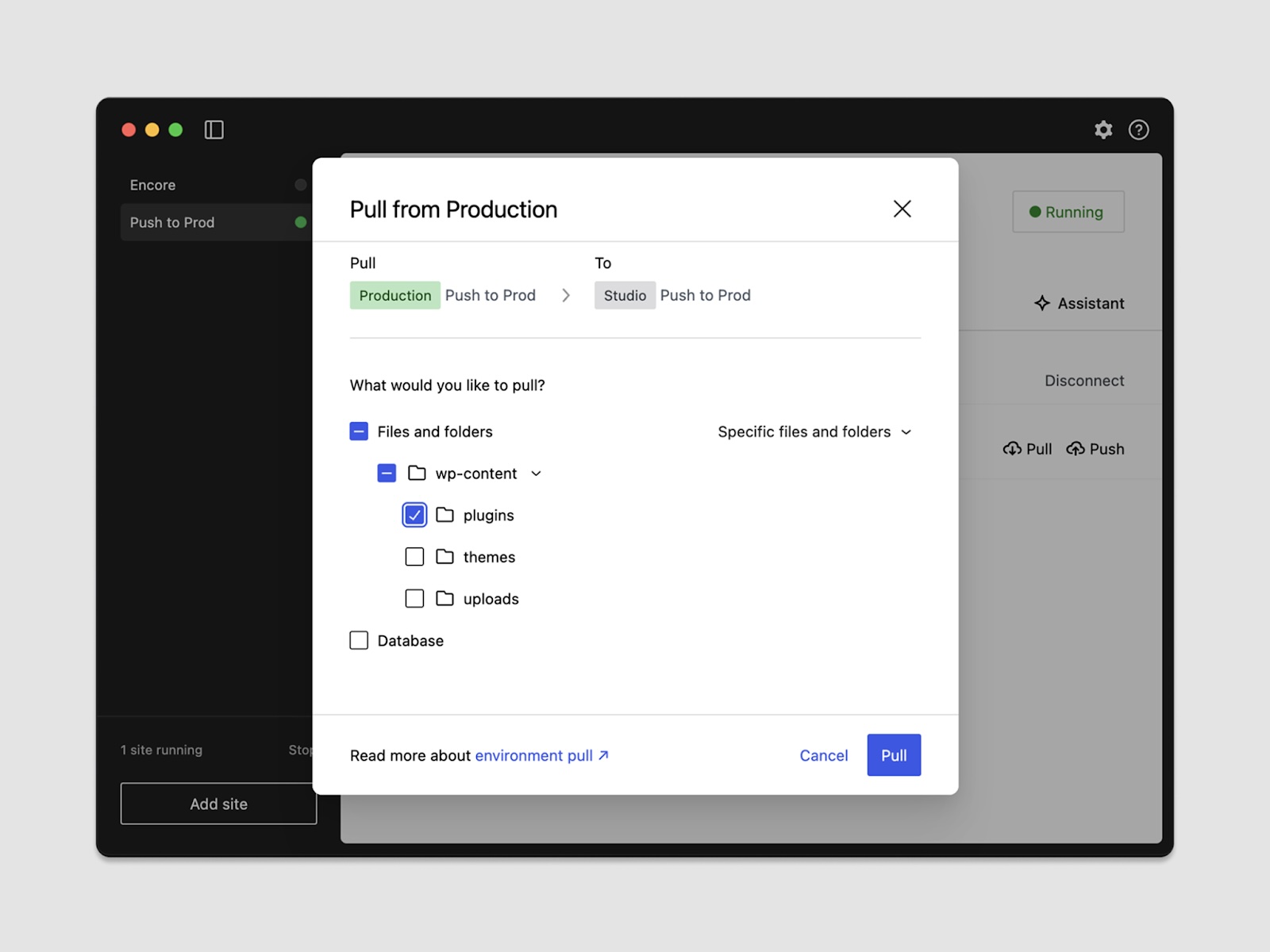 a screenshot of the Pull from Production modal window in WordPress Studio with Files and folders checked