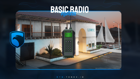 stg-basicradio