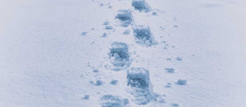 Print traceback call stack in Python