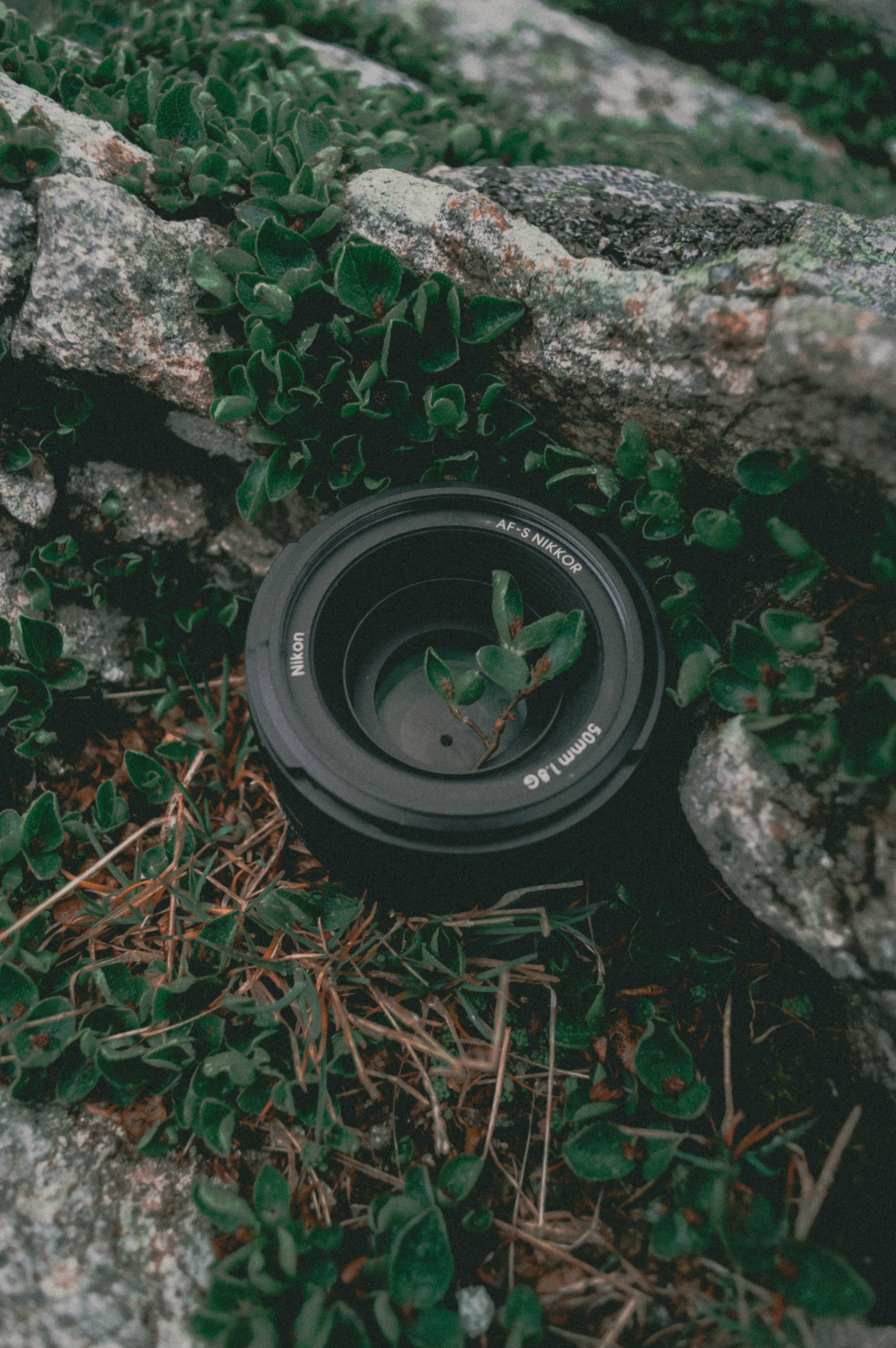 Image used for test