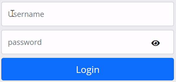 Password Visibility Output