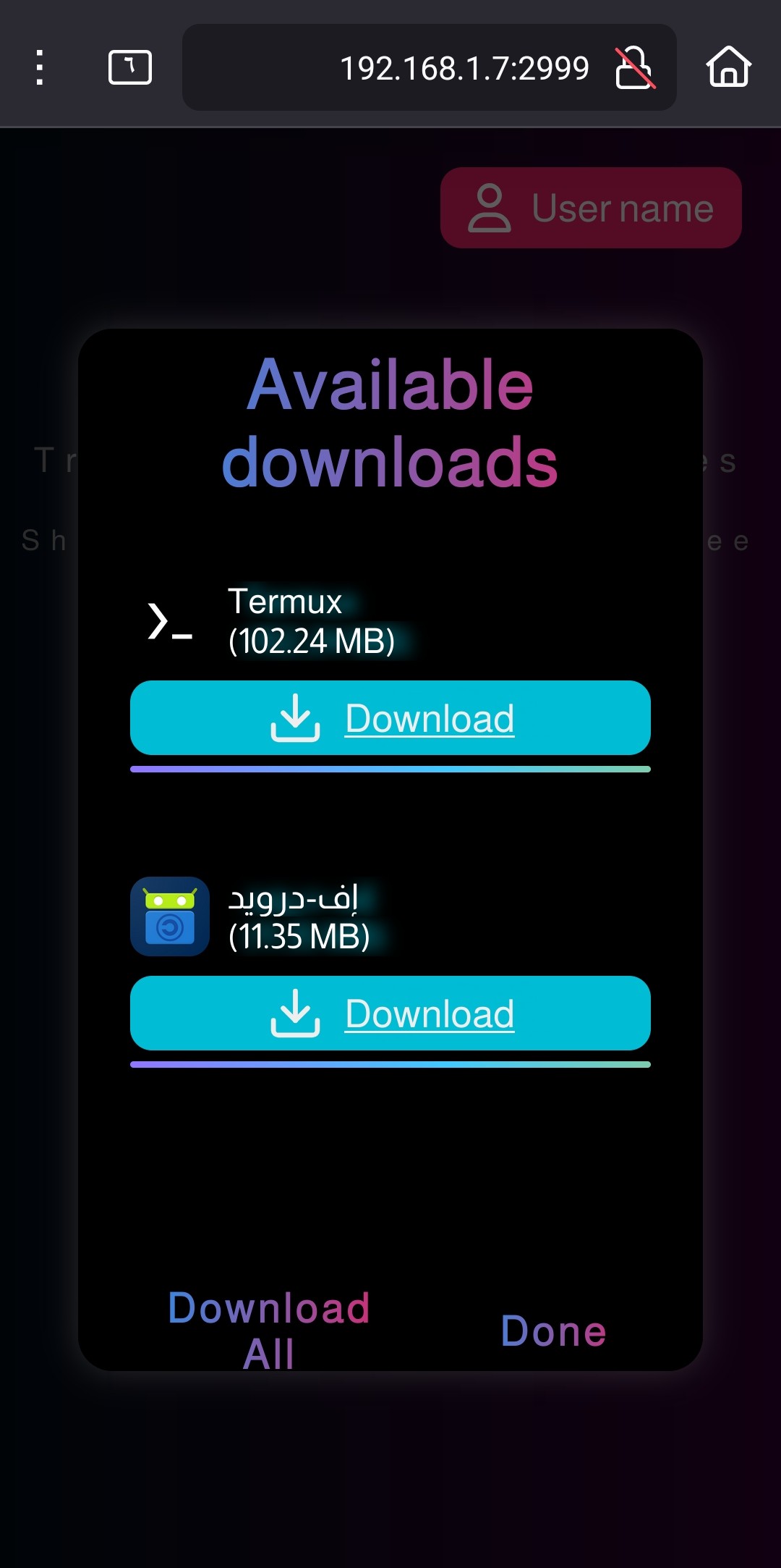App screen shot