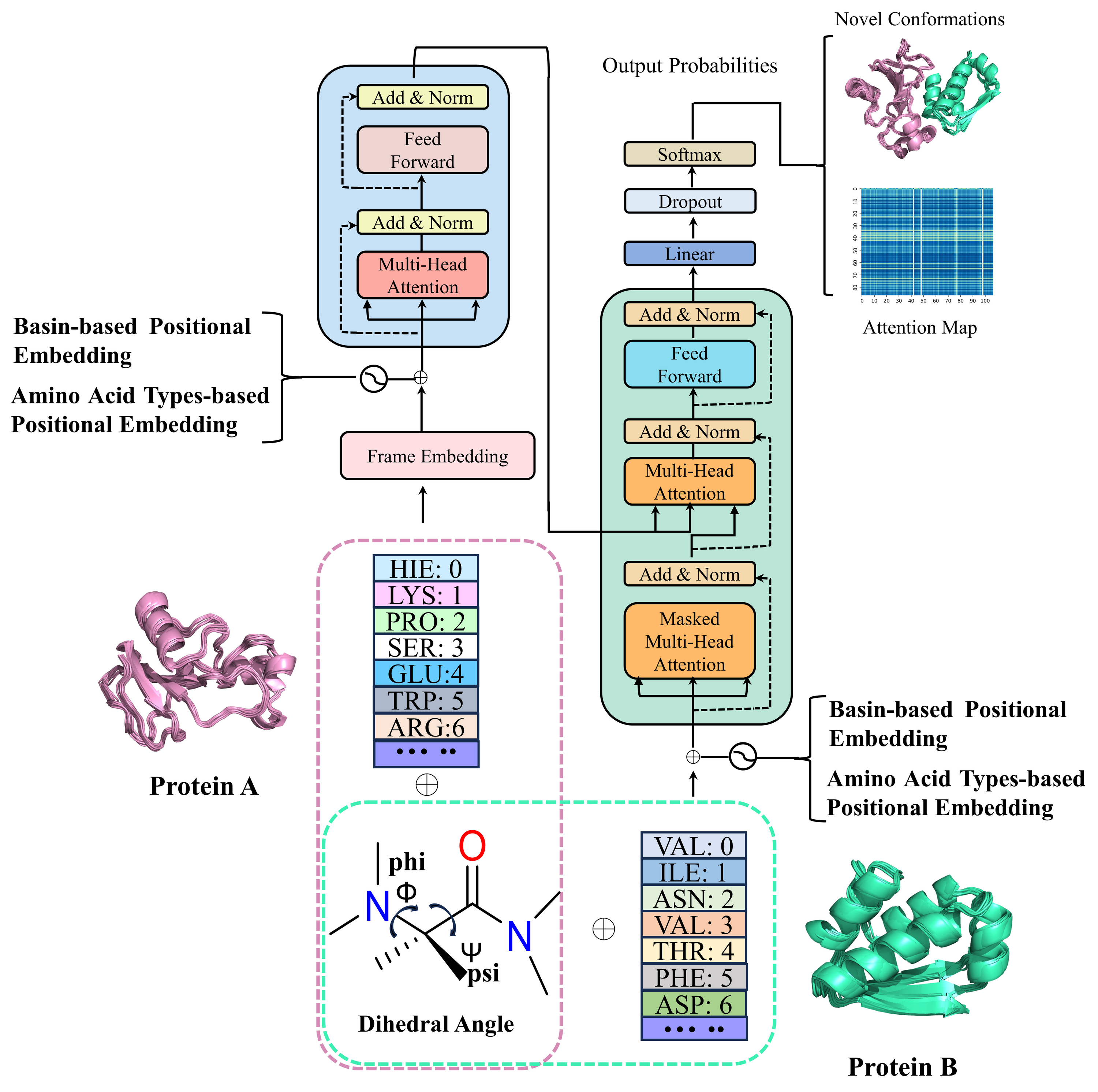 Model Architecture of AlphaPPImd