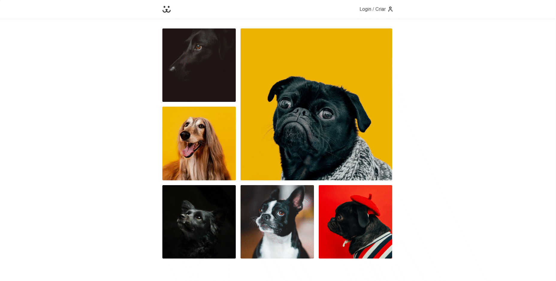 Dogs Next