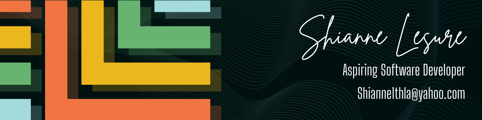 LinkedIn Banner 1 (1)