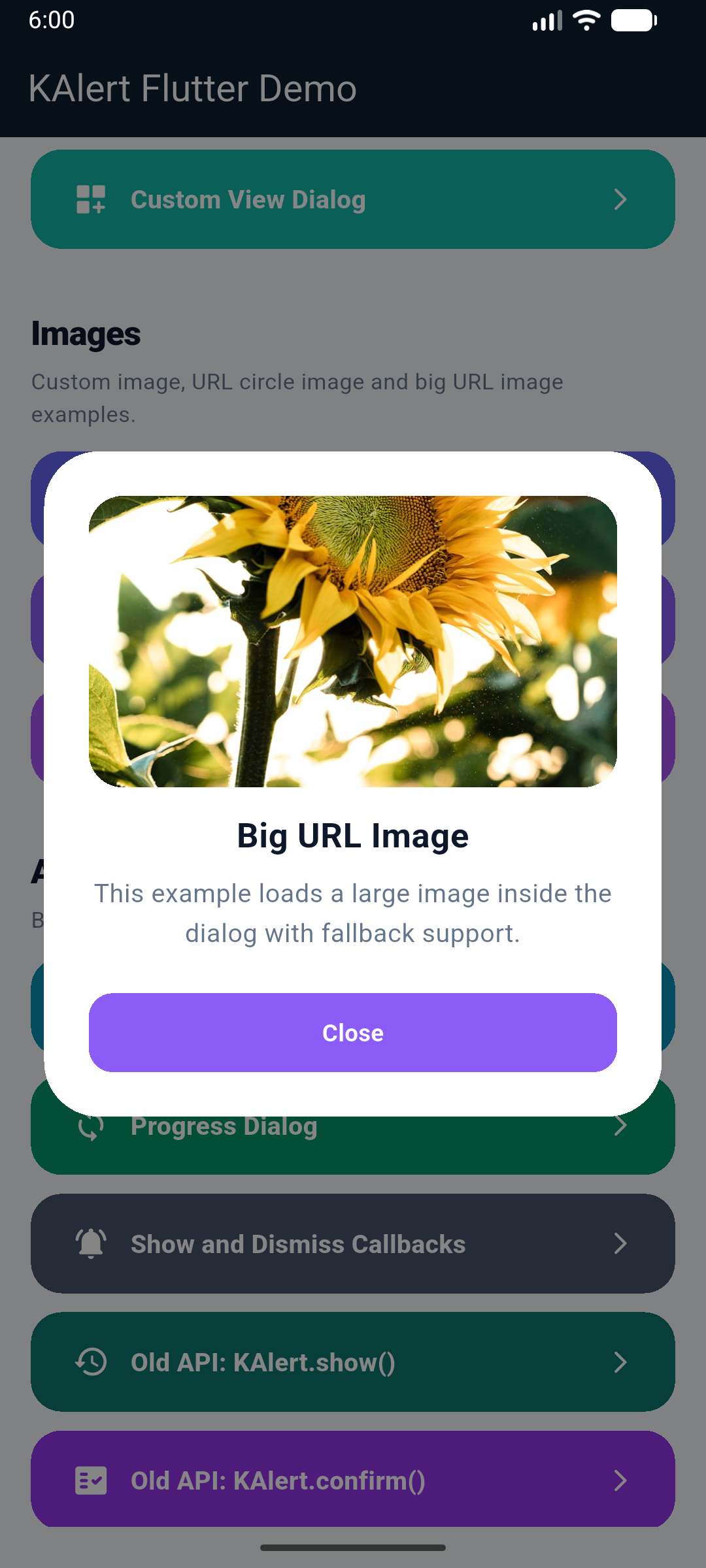KAlert Flutter Dialog Big URL Image Dialog