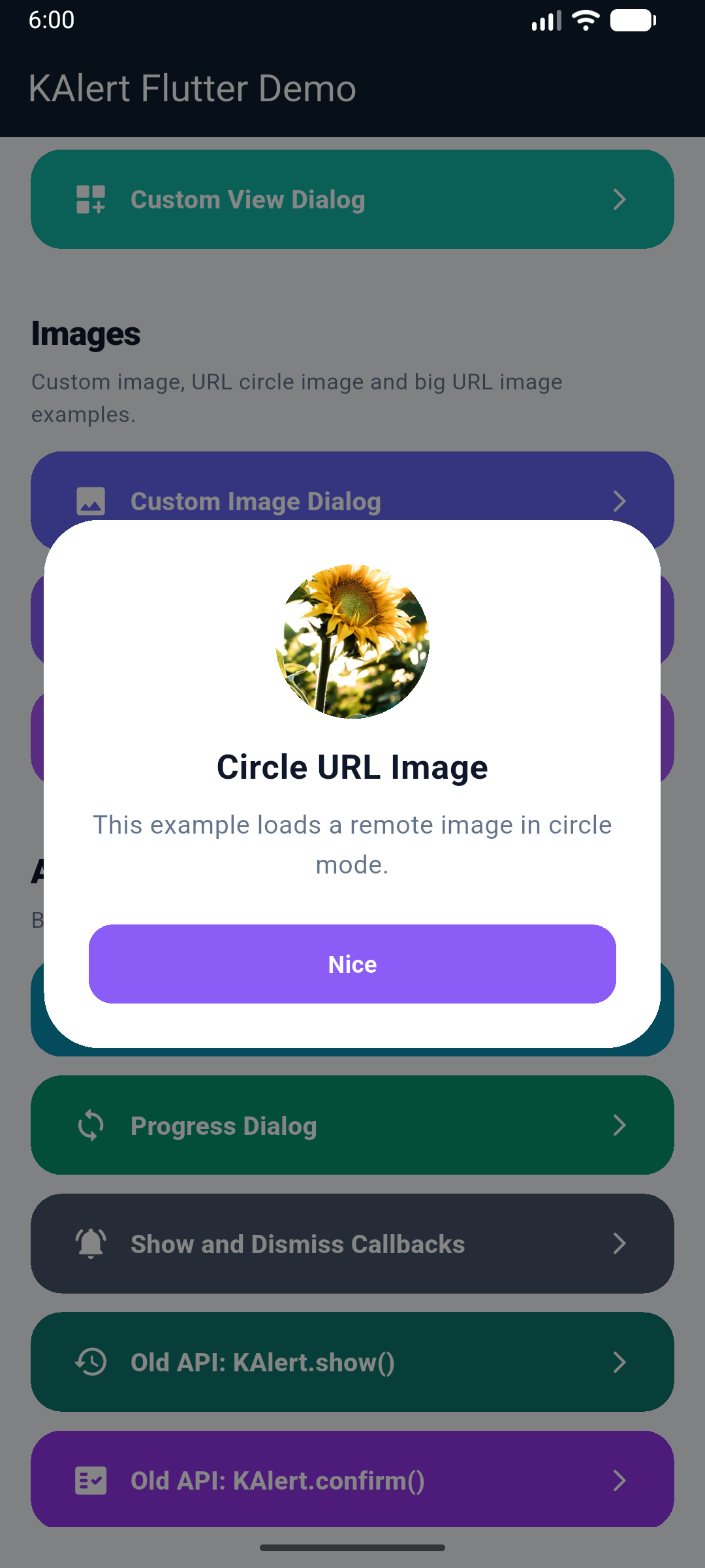 KAlert Flutter Dialog URL Image Circle Dialog