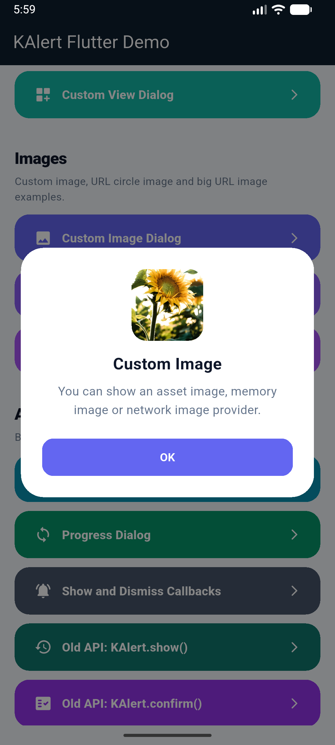 KAlert Flutter Dialog Custom Image Dialog