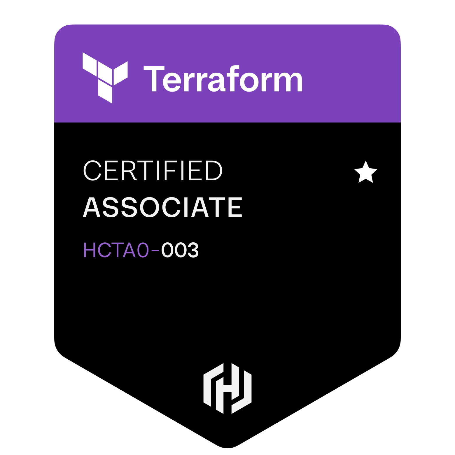 Terraform Associate (003)