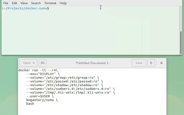 demo sumo and sumo-gui in docker
