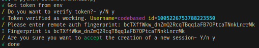CLI executing the program