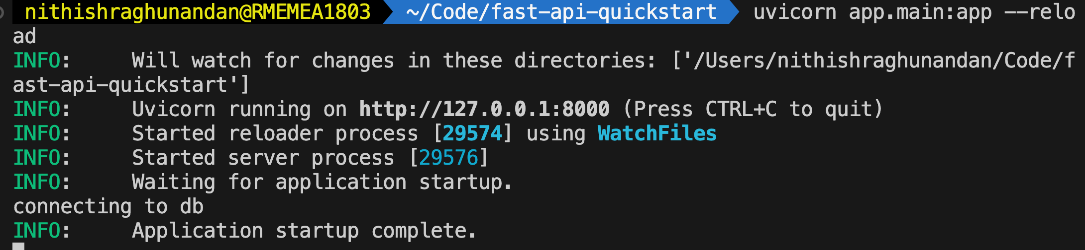 Application Startup