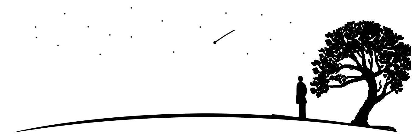 Profile Silhouette