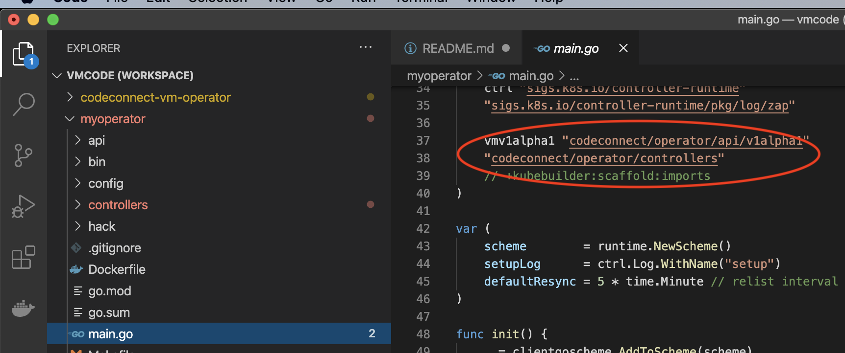 VScode Screenshot with old main.go Image