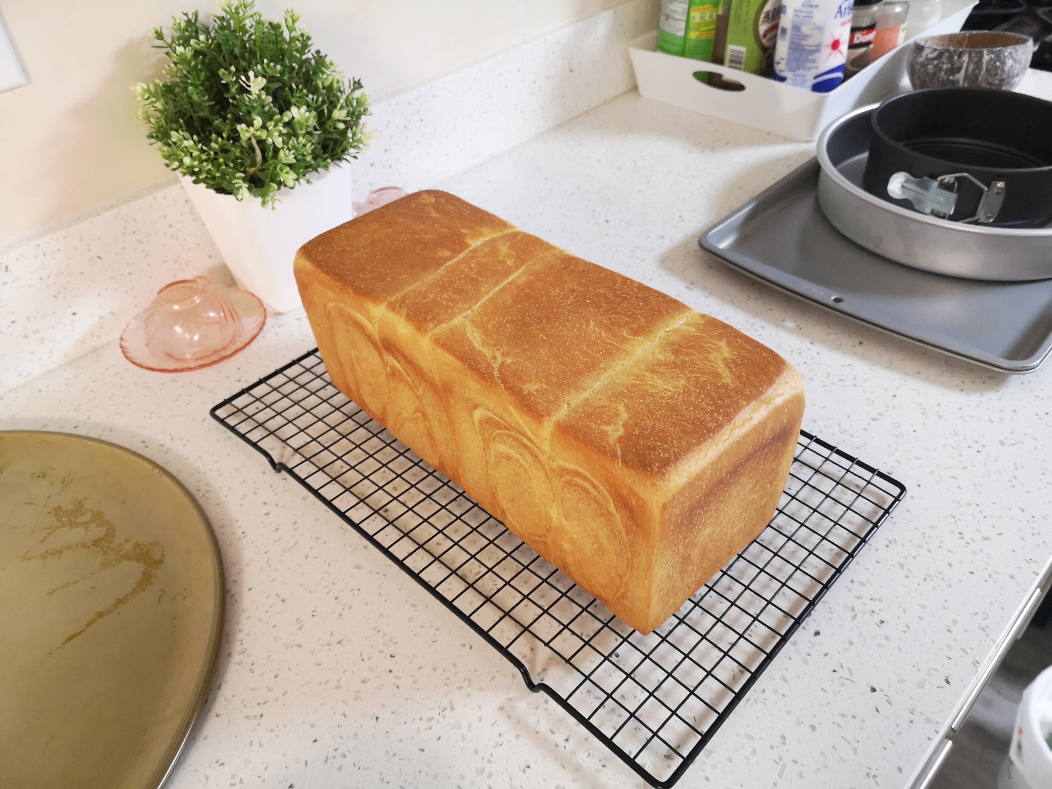 advanced honey lemon-zest brioche Tangzhong-based 80% hydration sourdough toast