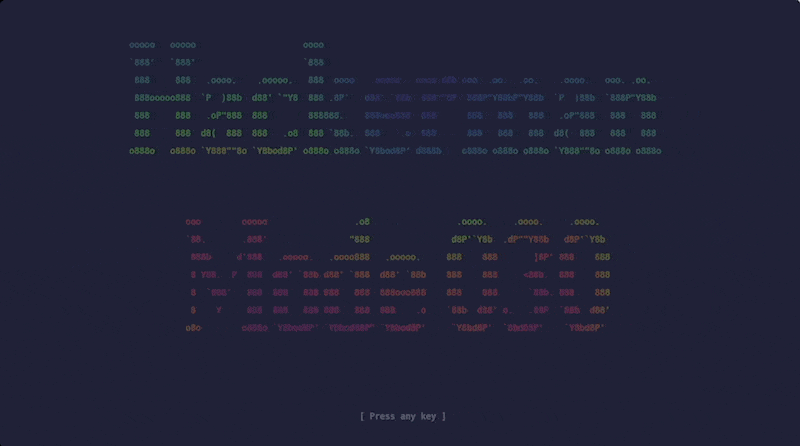Terminal startup screen