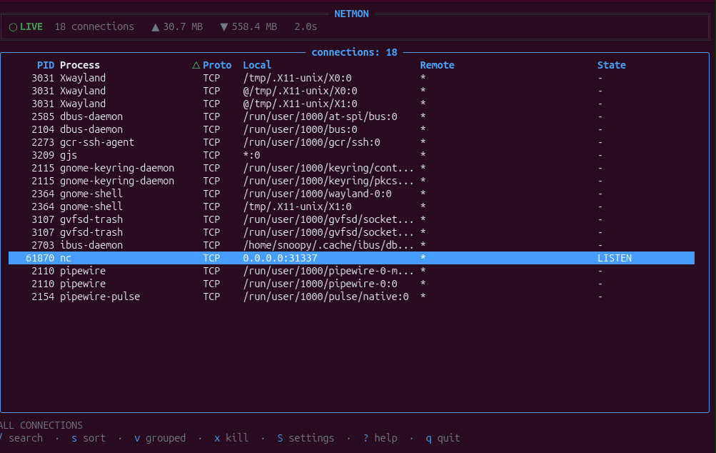 netmon demo