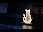 cat-nyaight-light