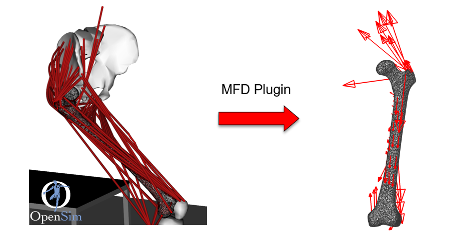 FE_workflow