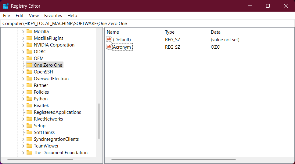 The Registry Editor showing the One Zero One key.