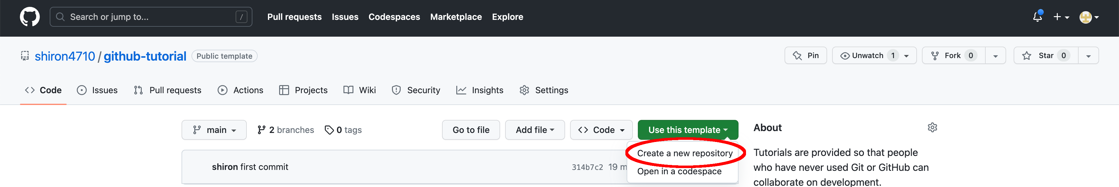 Create repository