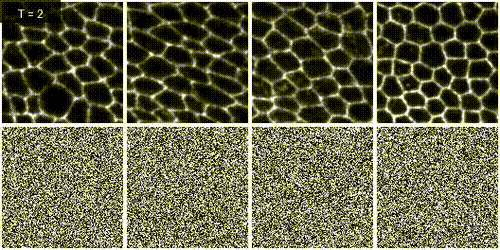 Diffusion model
