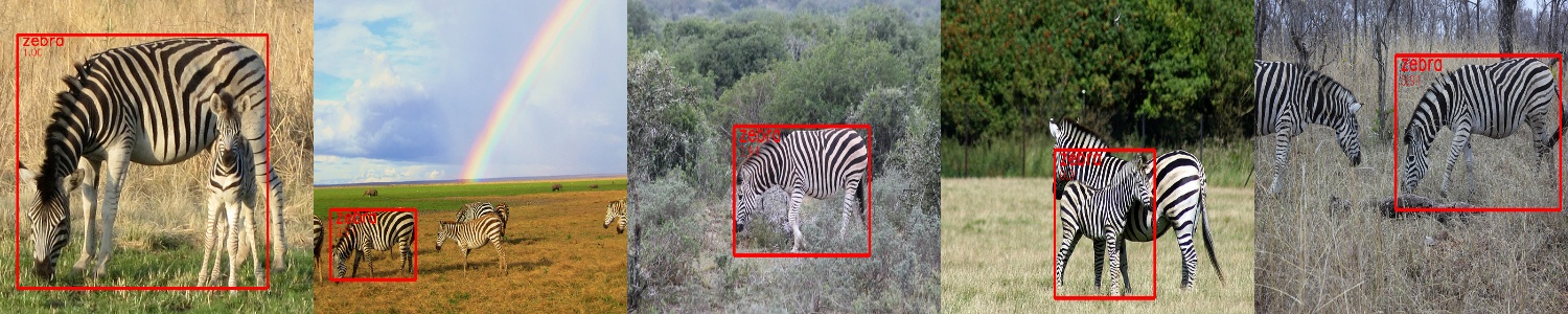 images/result.jpg