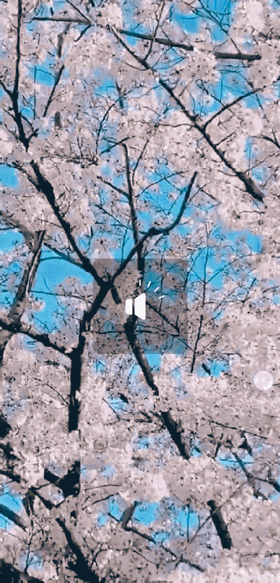 2020-05-05 18_09_07.gif
