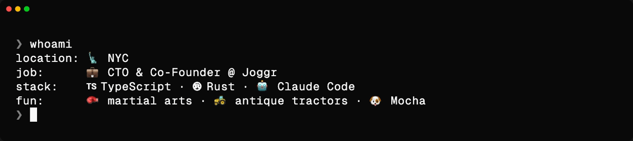 terminal: type whoami, prints YAML bio