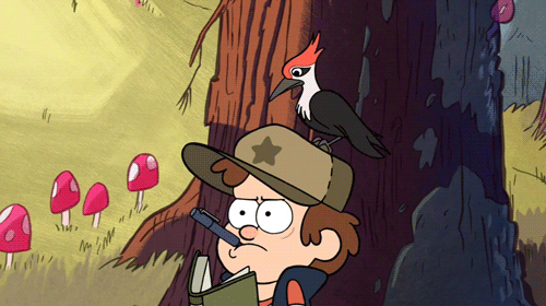 dipper gif