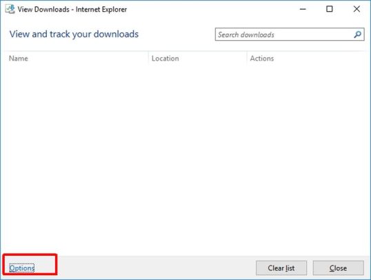 View downloads window