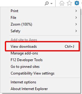 Microsoft Internet Explorer Setting