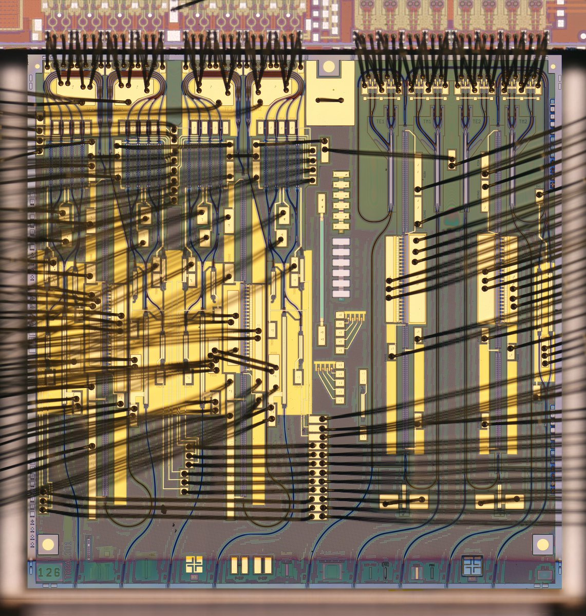 Infinera 1.6T DWDM DP-64QAM Silicon Photonic Chip Analysis