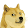 Mild Shock's profile photo