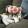 Scott Evans's profile photo