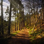 Photostream thumbnail 5
