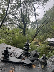Stone stacks on a wet, slate surface surrounded by a lush, green forest.